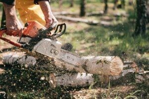 Motoseghe Professionali Stihl